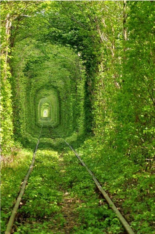 Tunnel of love in Klevan