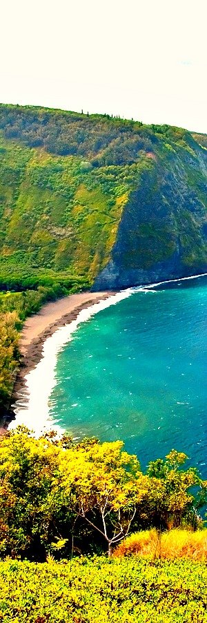 Waipio Valley Beach, Big Island, Hawaii