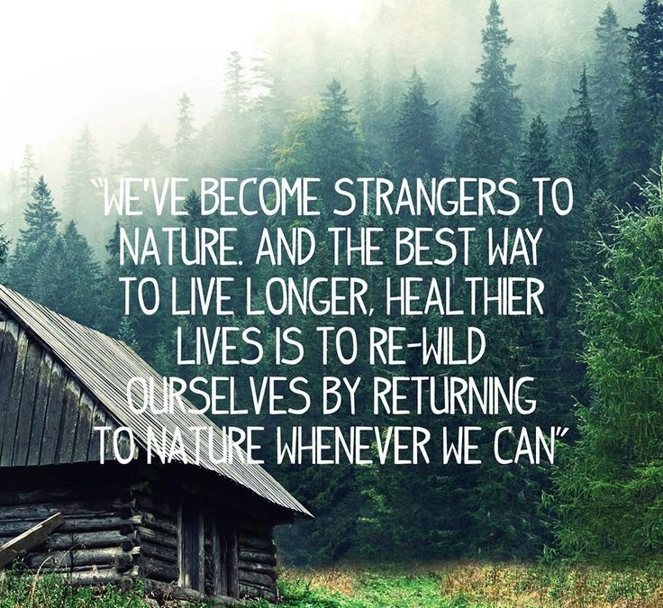 Best Nature Quotes (13)