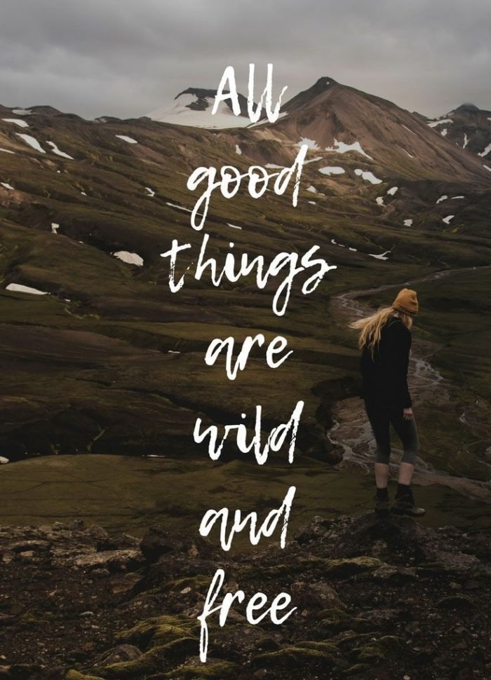 25 Best Nature Quotes To Inspire You