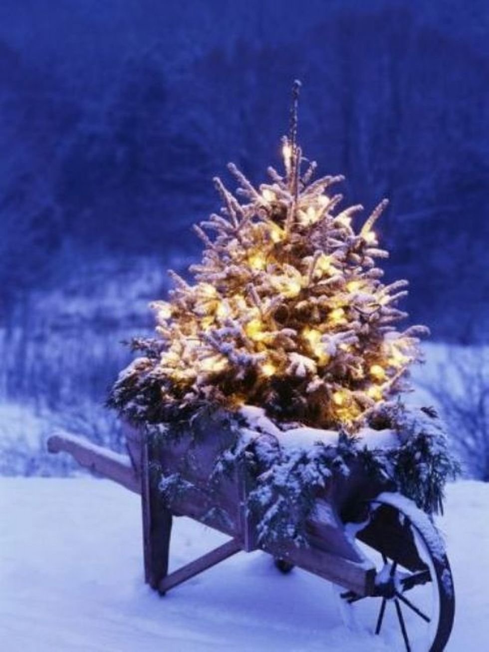 Outdoor Christmas Decorations (63)