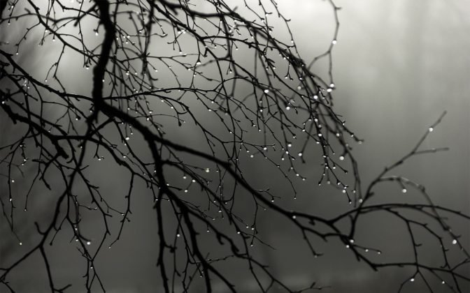 30 Hd Rain Wallpapers For Your Desktop