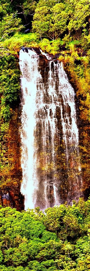 Opaekaa Falls, Kauai