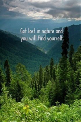 25 Best Nature Quotes To Inspire You