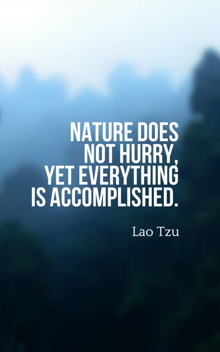 25 Best Nature Quotes To Inspire You