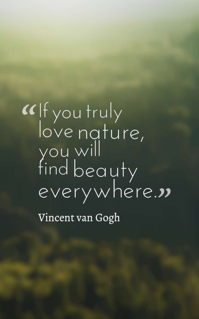 Best Nature Quotes (5)