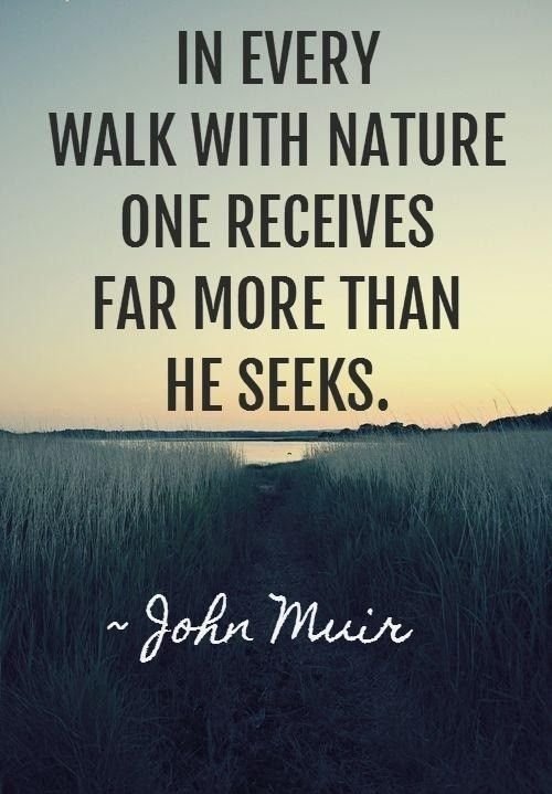Best Nature Quotes (6)